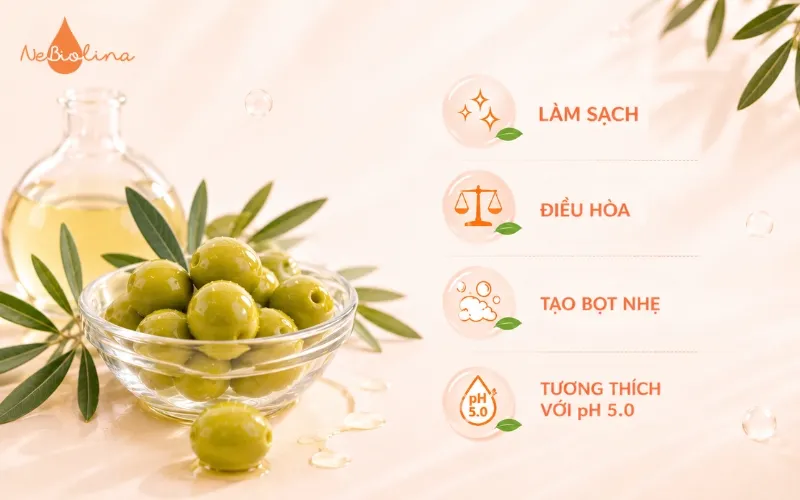 4 công dụng của Olivamidopropyl Betaine thành phần dung dịch vệ sinh NeBiolina