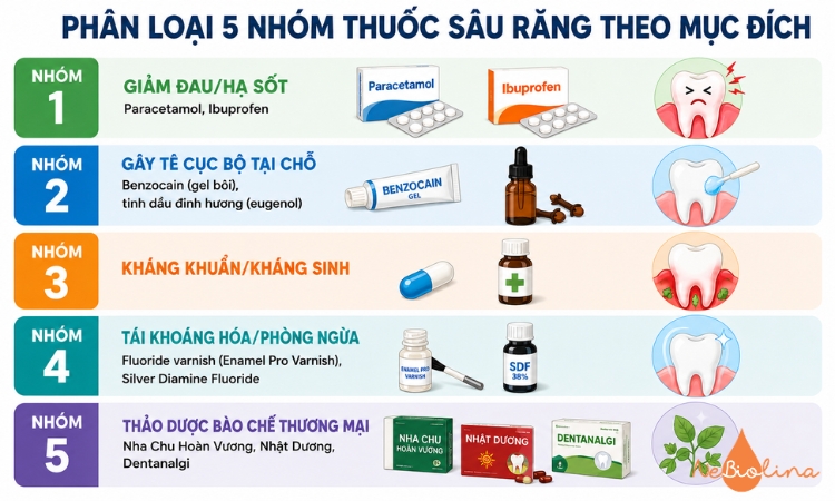 Có 5 nhóm thuốc thường dùng cho sâu răng.