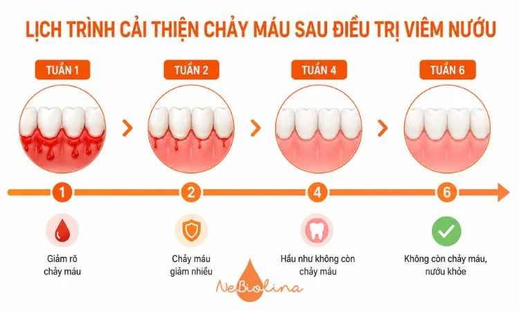 Diễn biến cải thiện chảy máu sau điều trị viêm nướu. 