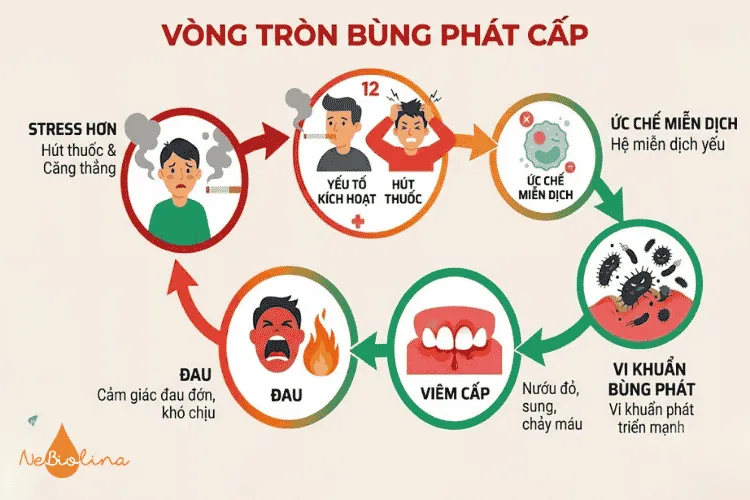 Vòng tròn bùng phát cấp tính
