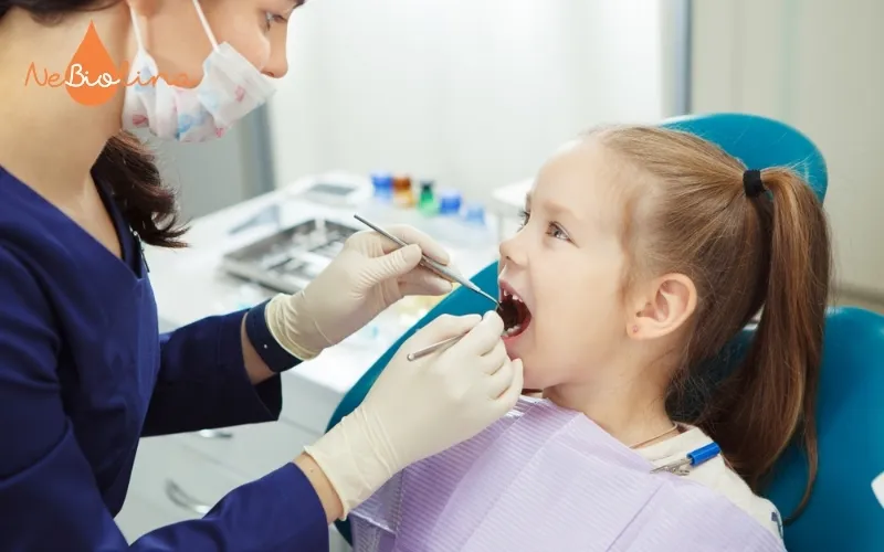 Khám răng định kì để ngăn chặn viêm nướu tiến triển thành viêm nha chu