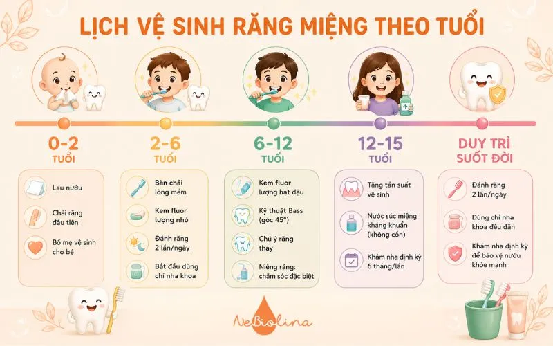Hướng dẫn chăm sóc và vệ sinh răng miệng phù hợp cho trẻ từ sơ sinh đến tuổi thiếu niên. 