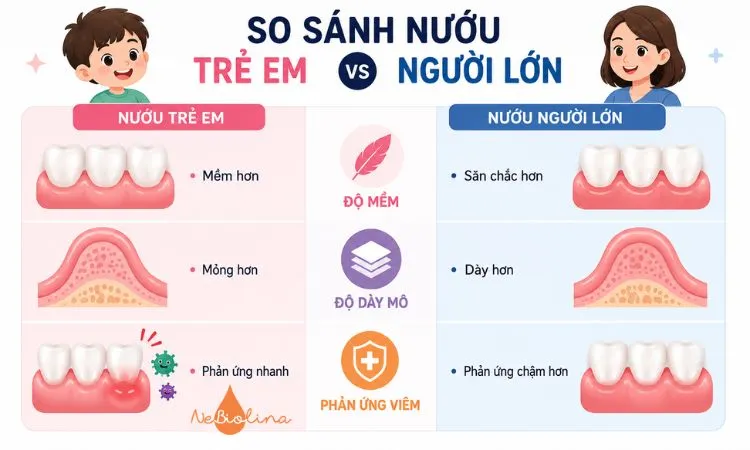 So sánh nướu trẻ em vs người lớn 