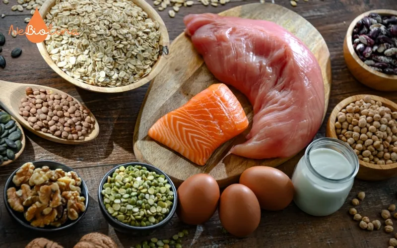 Thực phẩm giàu protein giúp mau hồi phục vết thương