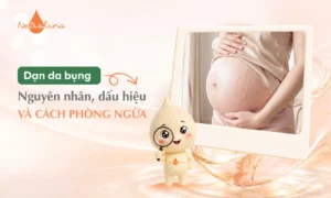 Dạn da bụng-01_7