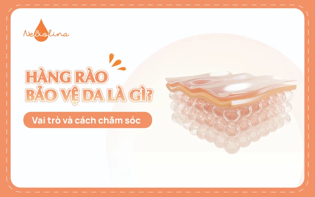 Hàng rào bảo vệ da là gì? Vai trò và cách chăm sóc