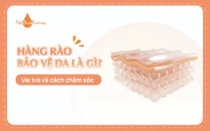 Hàng rào bảo vệ da là gì? Vai trò và cách chăm sóc