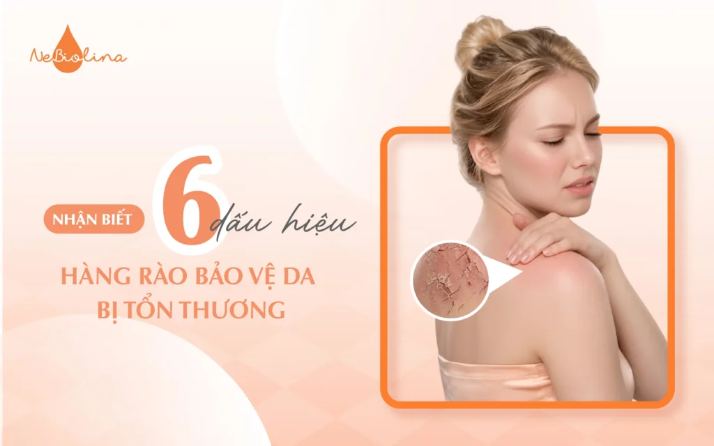 dấu hiệu hàng rào bảo vệ da bị tổn thương